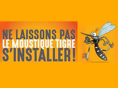 Que faire contre le moustique