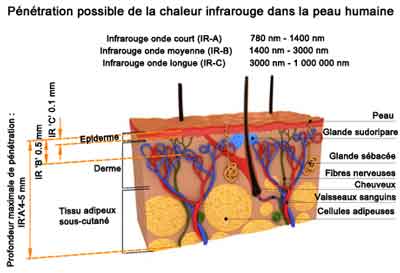pénêtration dans le corps du rayonnement infrarouge les lampes infrarouges