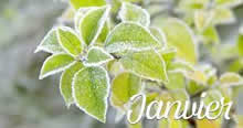Le mois de janvier